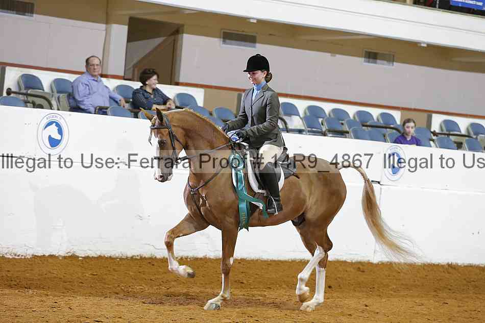 Proof Number 14r9_4867