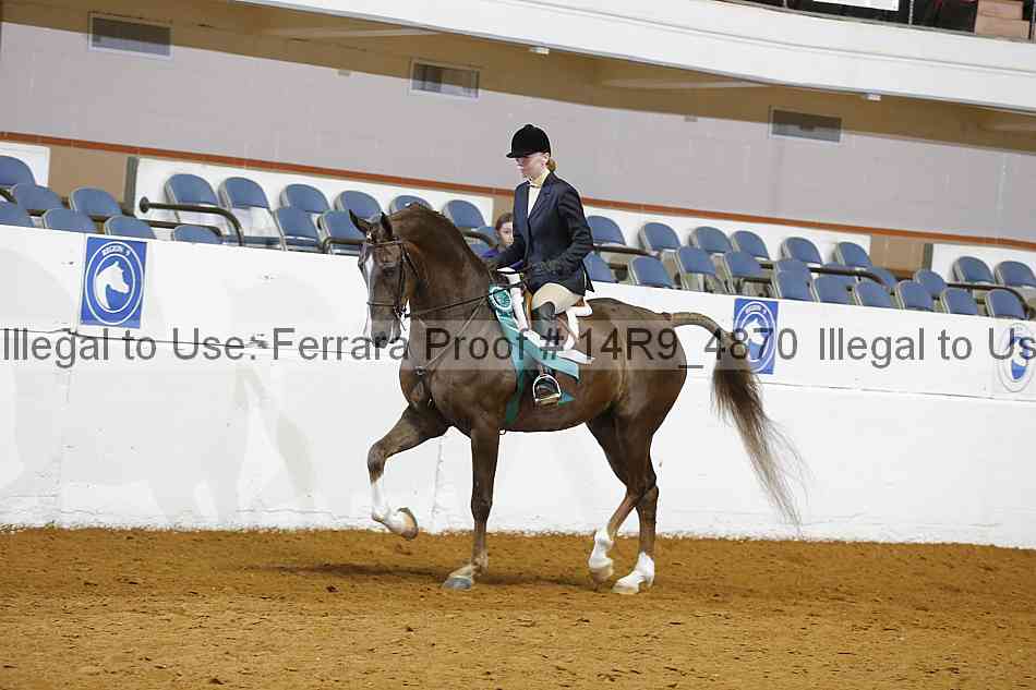 Proof Number 14r9_4870