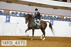 14r9_4870 thumbnail