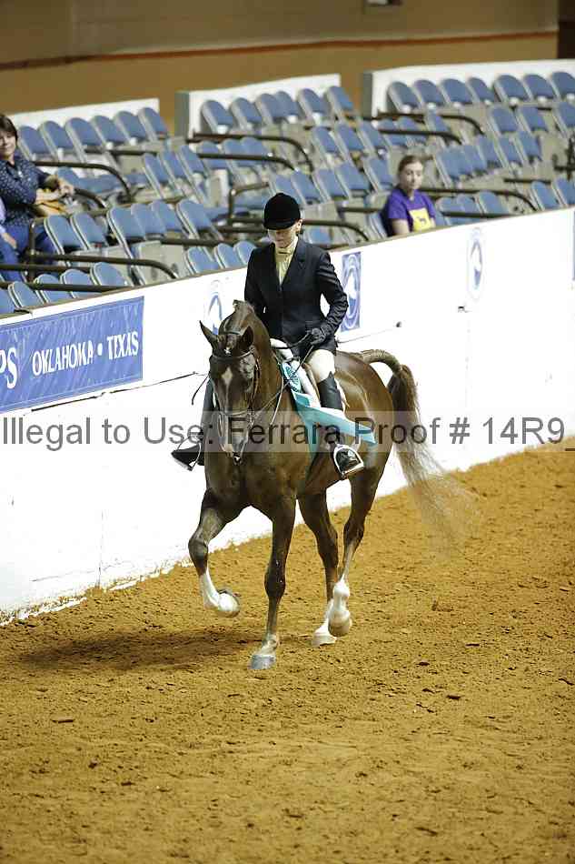 Proof Number 14r9_4872