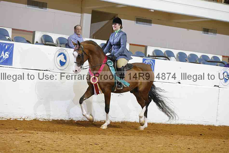 Proof Number 14r9_4874