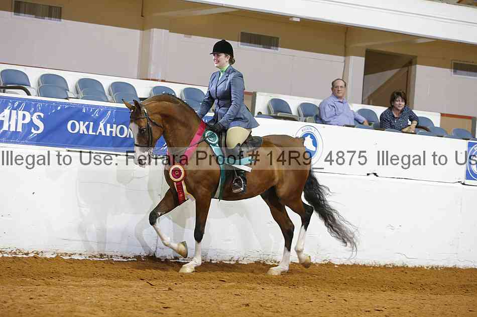 Proof Number 14r9_4875