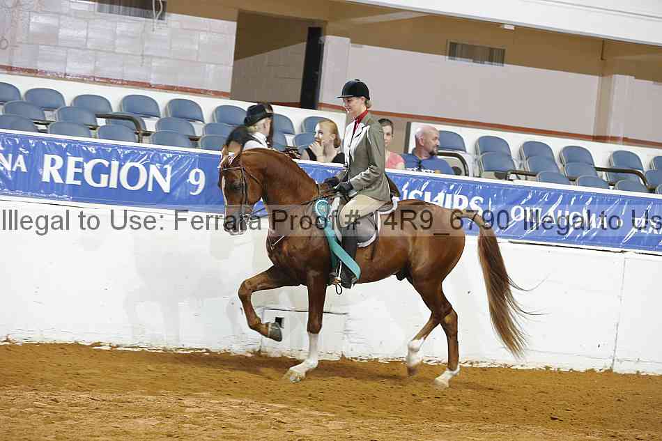 Proof Number 14r9_6790