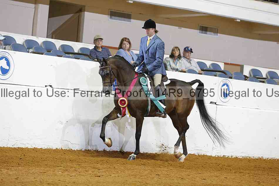 Proof Number 14r9_6795