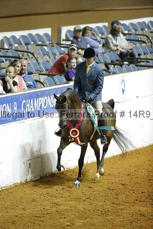 Proof Number 14r9_6796