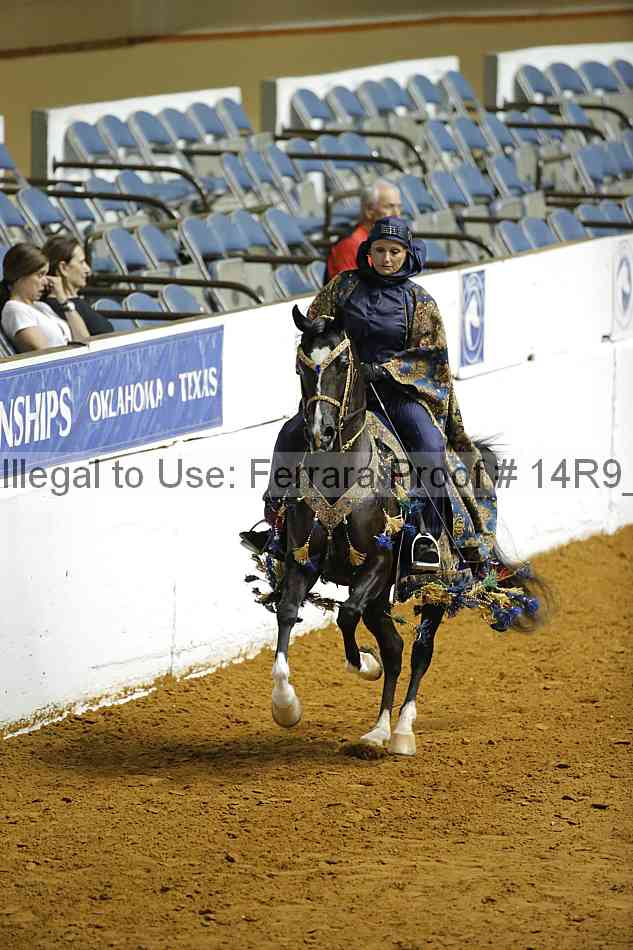 Proof Number 14r9_4905
