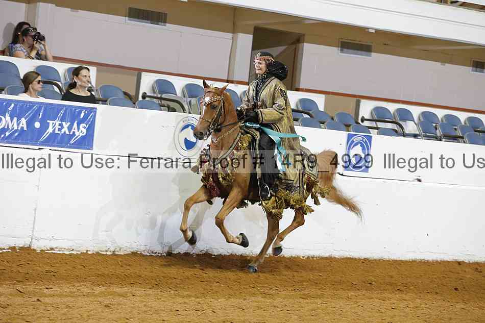 Proof Number 14r9_4929