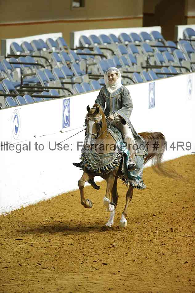 Proof Number 14r9_4937
