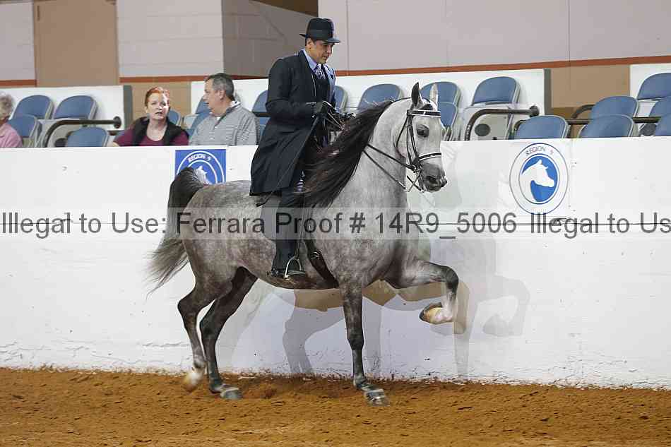 Proof Number 14r9_5006