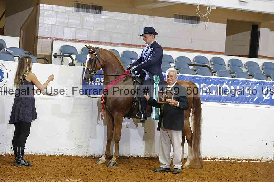 Proof Number 14r9_5014