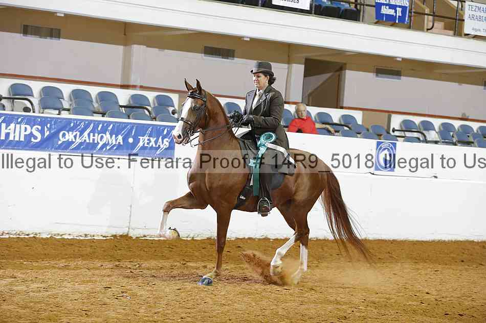 Proof Number 14r9_5018