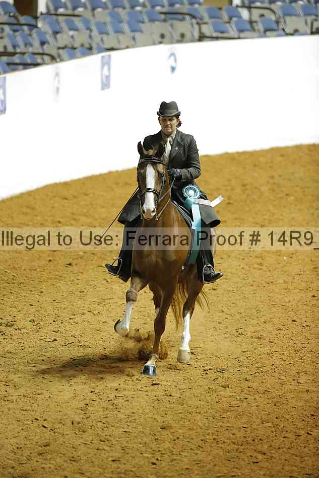 Proof Number 14r9_5019