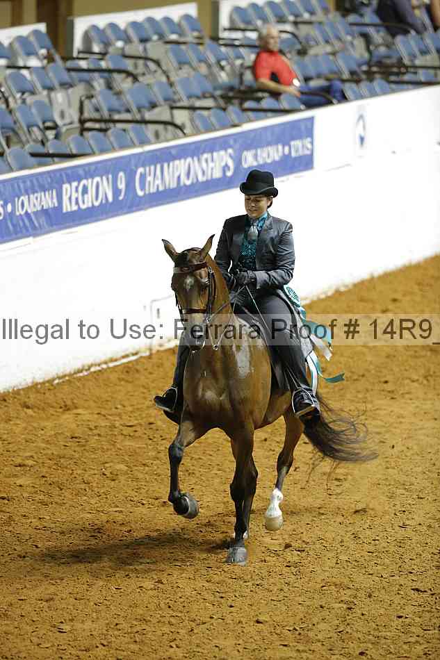 Proof Number 14r9_5028