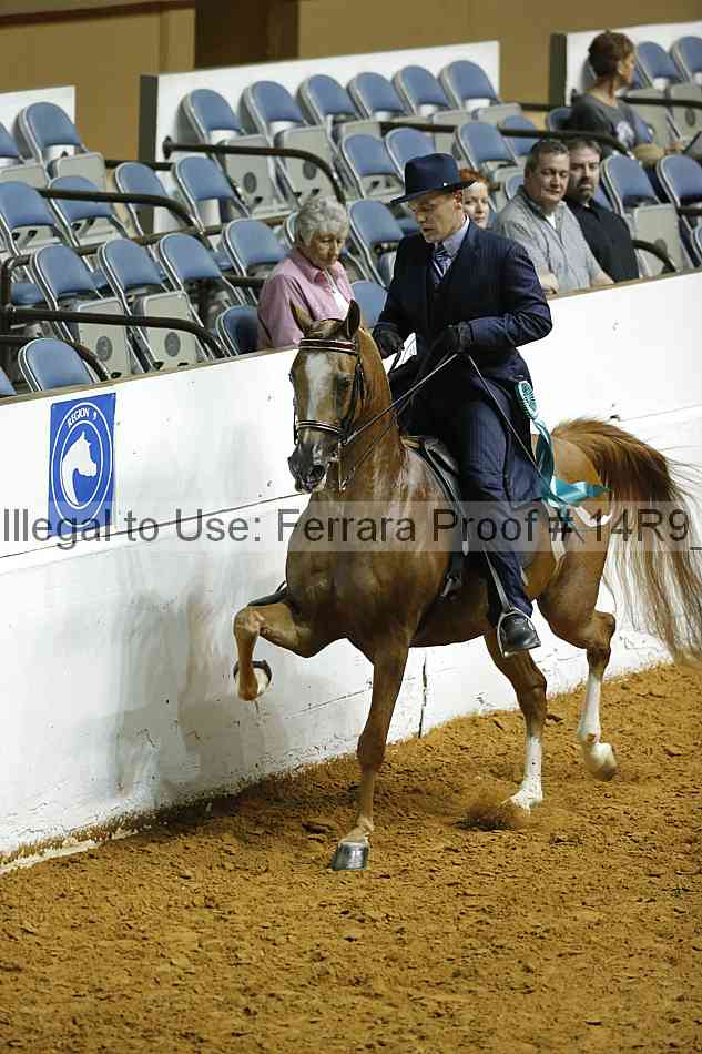 Proof Number 14r9_5033