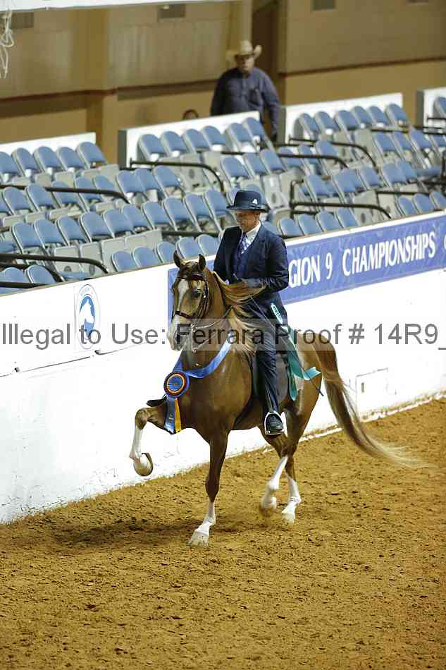 Proof Number 14r9_5035