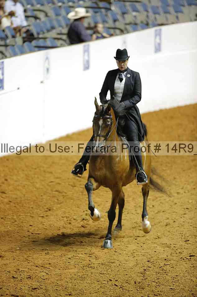Proof Number 14r9_5041