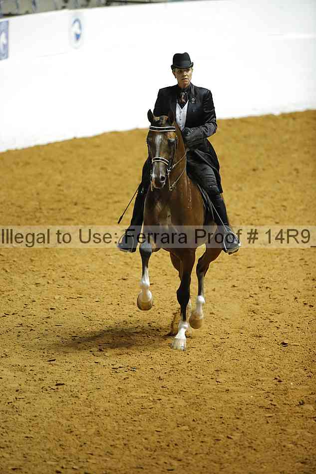 Proof Number 14r9_5043