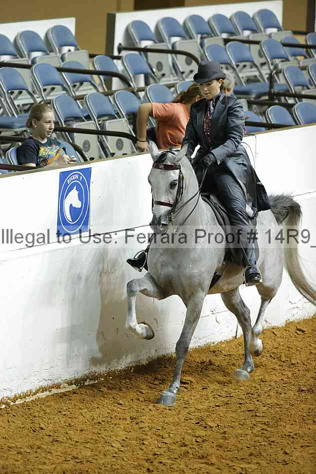 Proof Number 14r9_5060