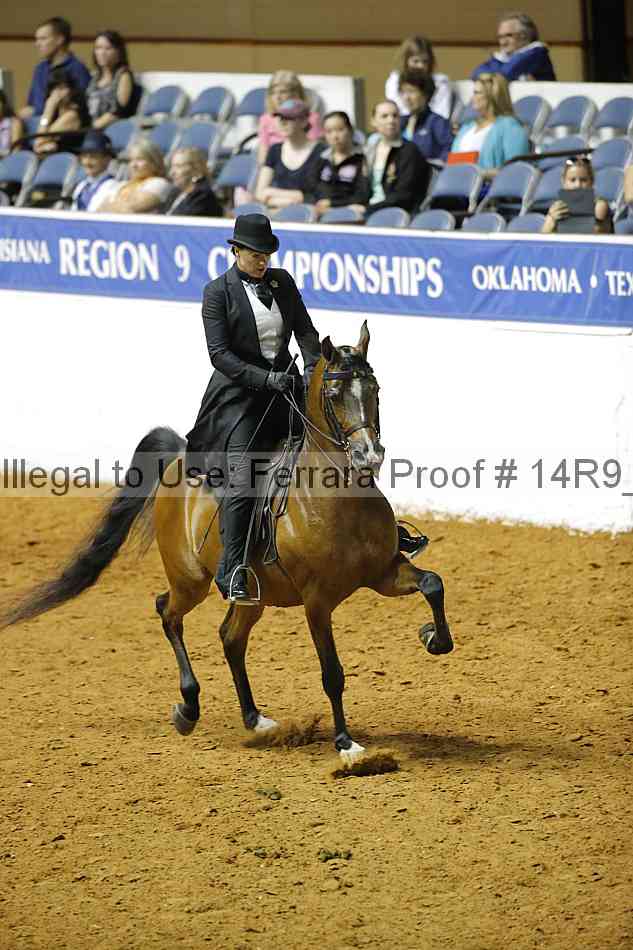 Proof Number 14r9_5066