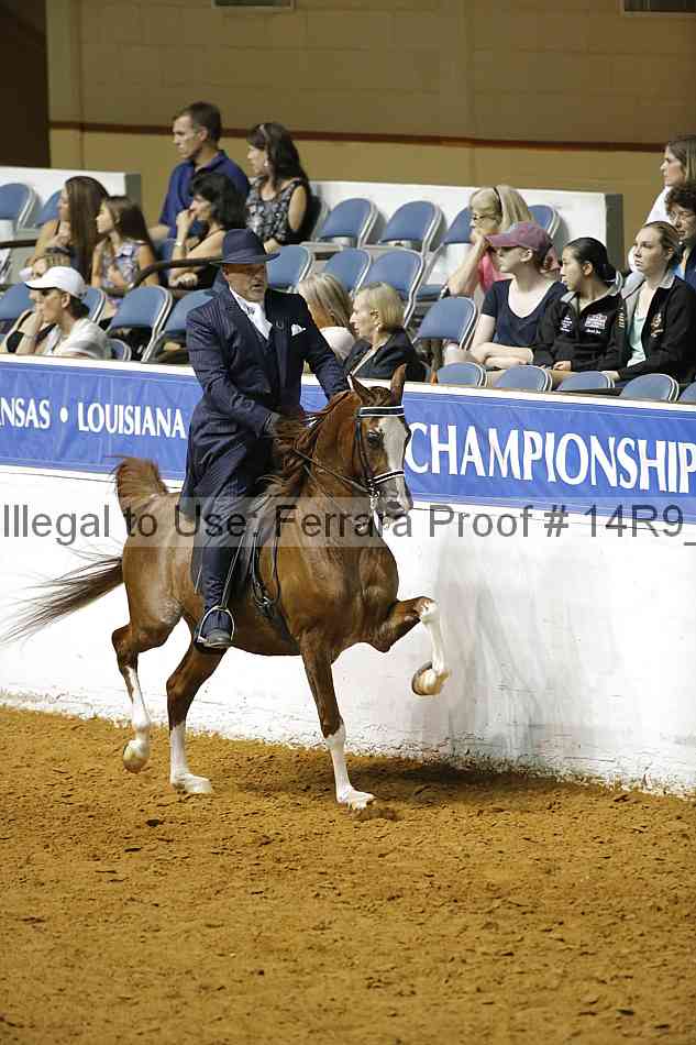 Proof Number 14r9_5067