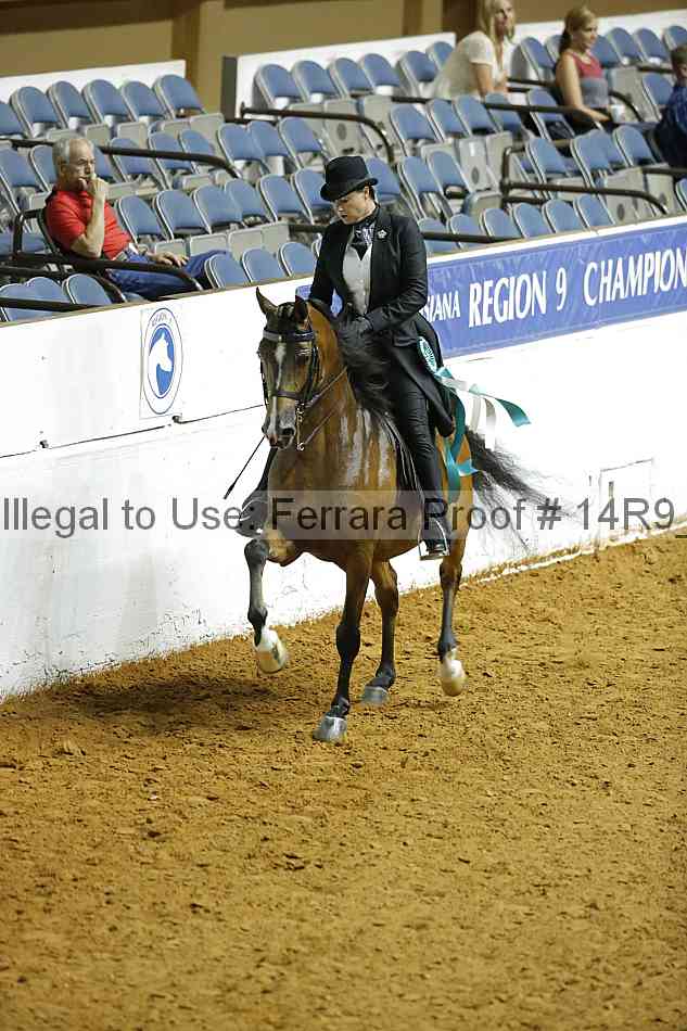 Proof Number 14r9_5089