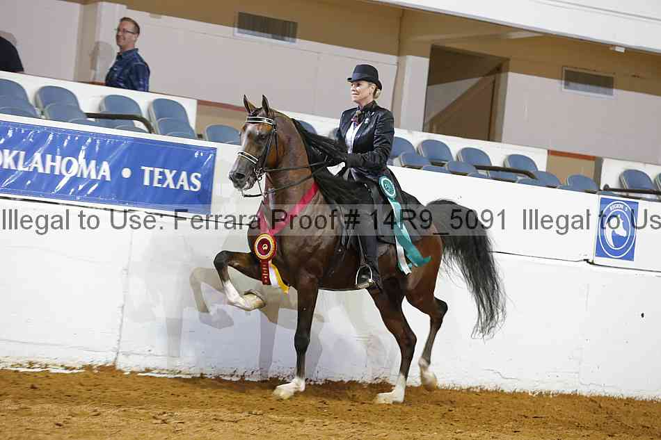 Proof Number 14r9_5091
