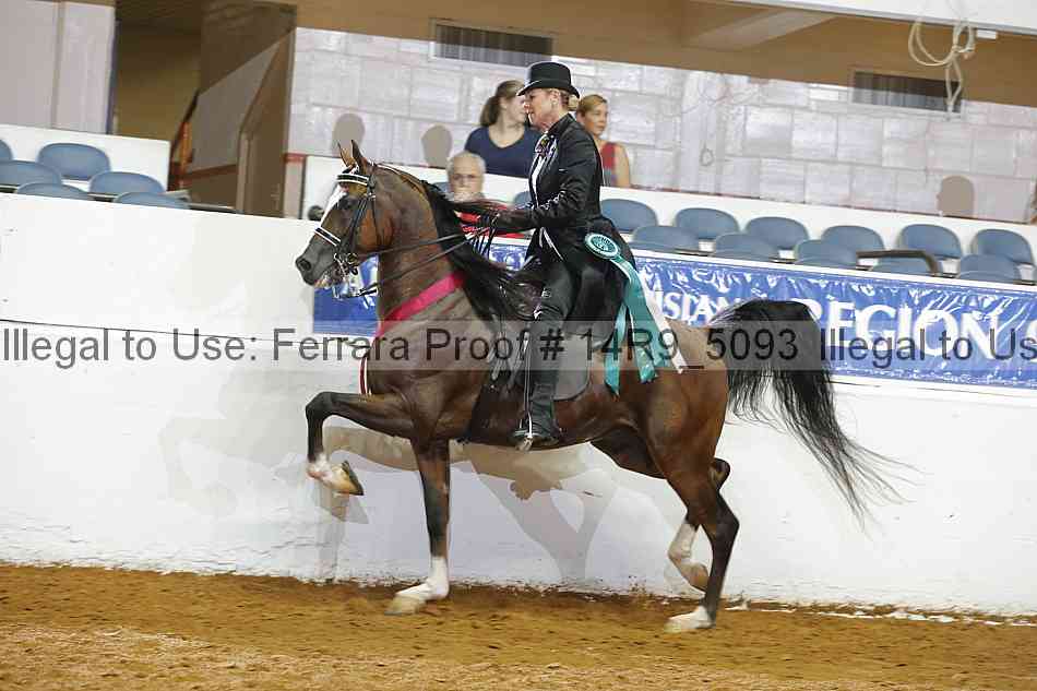 Proof Number 14r9_5093