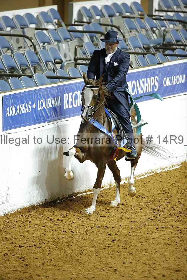 Proof Number 14r9_5099