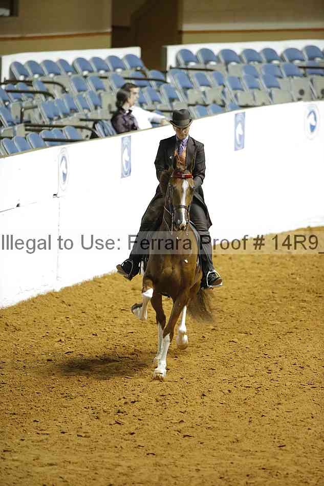 Proof Number 14r9_5118