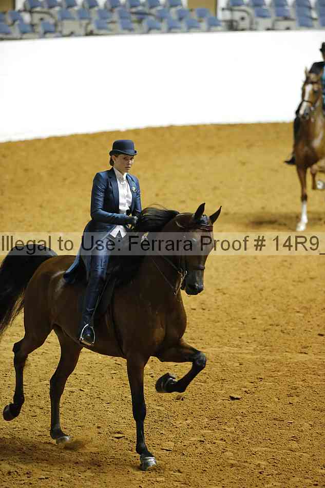Proof Number 14r9_5121
