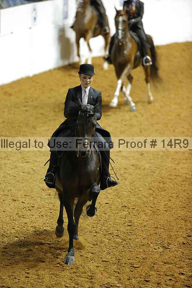 Proof Number 14r9_5143