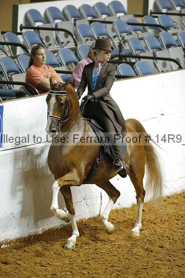 Proof Number 14r9_5146