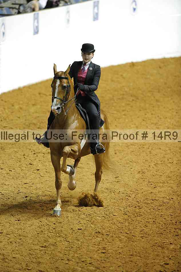 Proof Number 14r9_5151