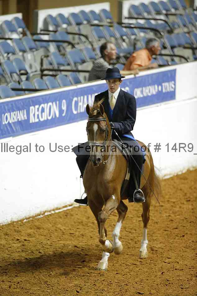 Proof Number 14r9_5160