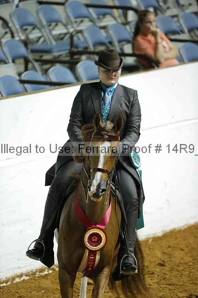 Proof Number 14r9_5171