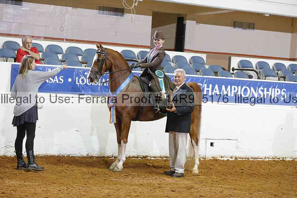 Proof Number 14r9_5176