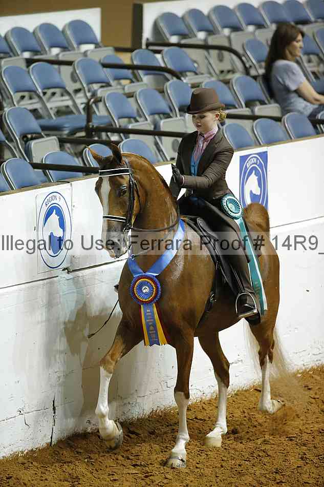 Proof Number 14r9_5179