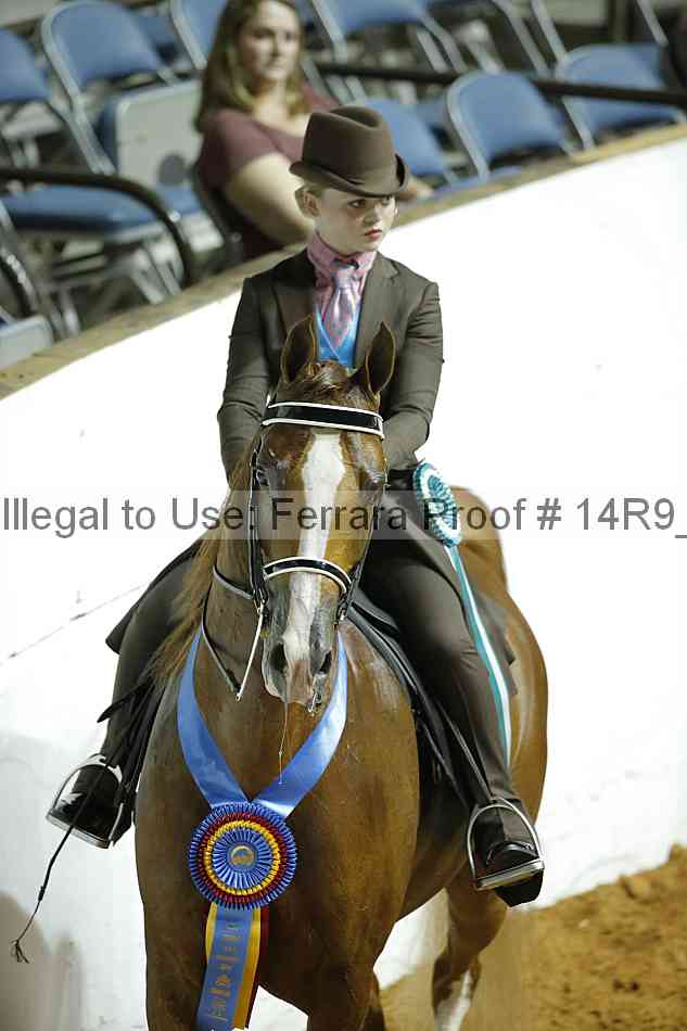 Proof Number 14r9_5181