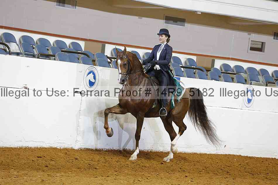 Proof Number 14r9_5182