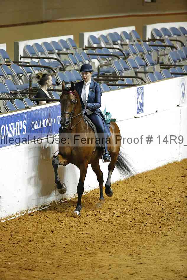 Proof Number 14r9_5189