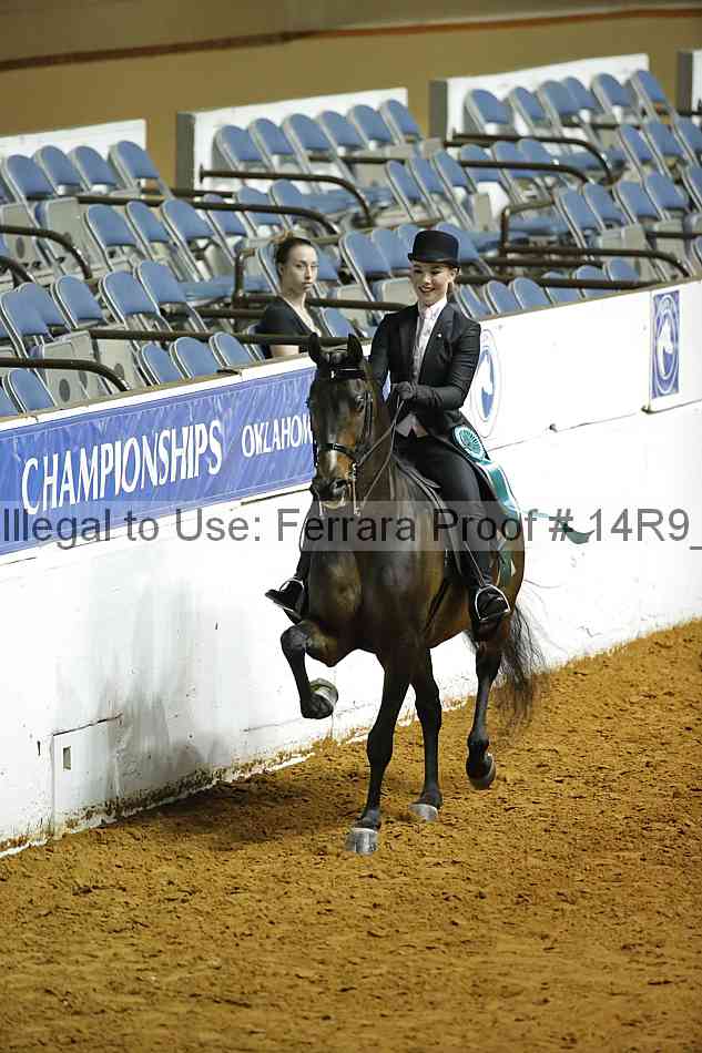 Proof Number 14r9_5193