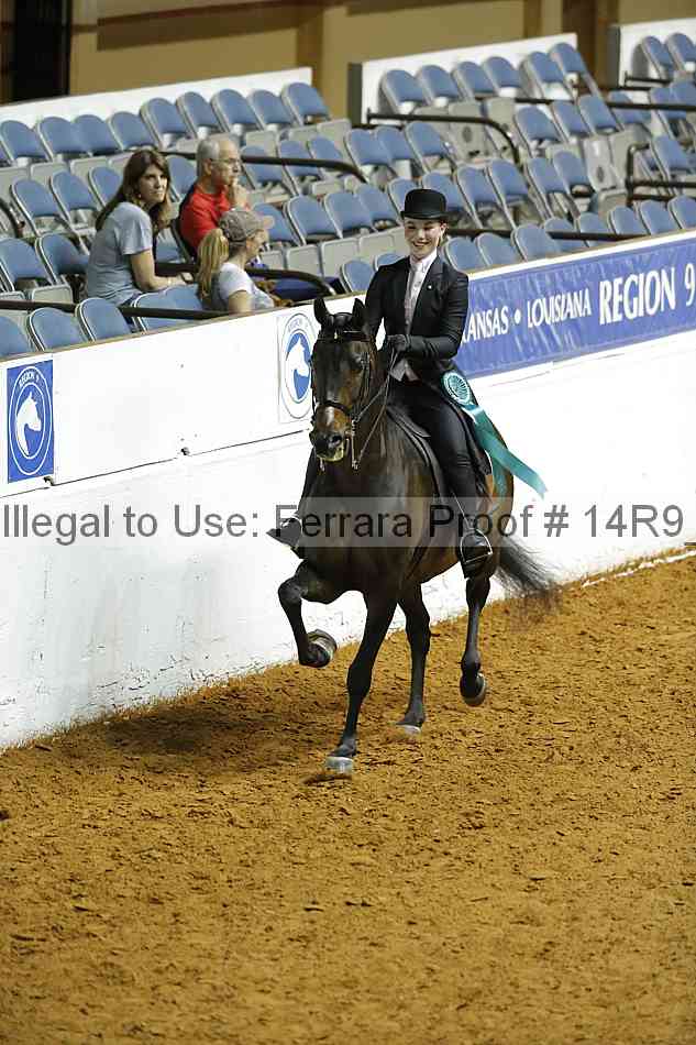 Proof Number 14r9_5194