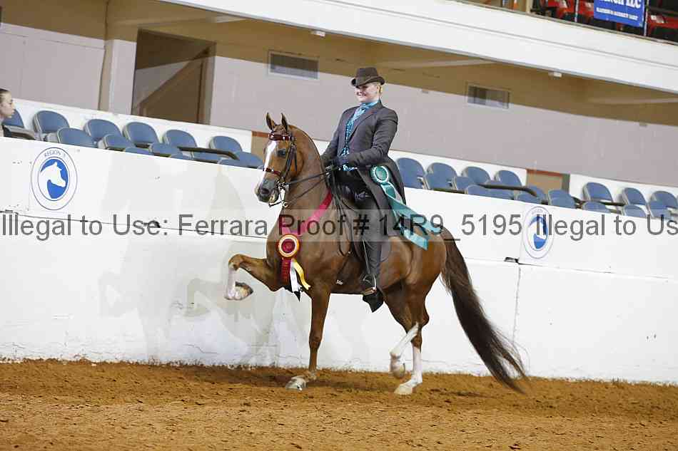 Proof Number 14r9_5195