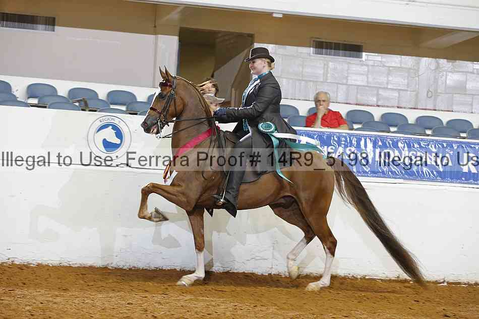 Proof Number 14r9_5198