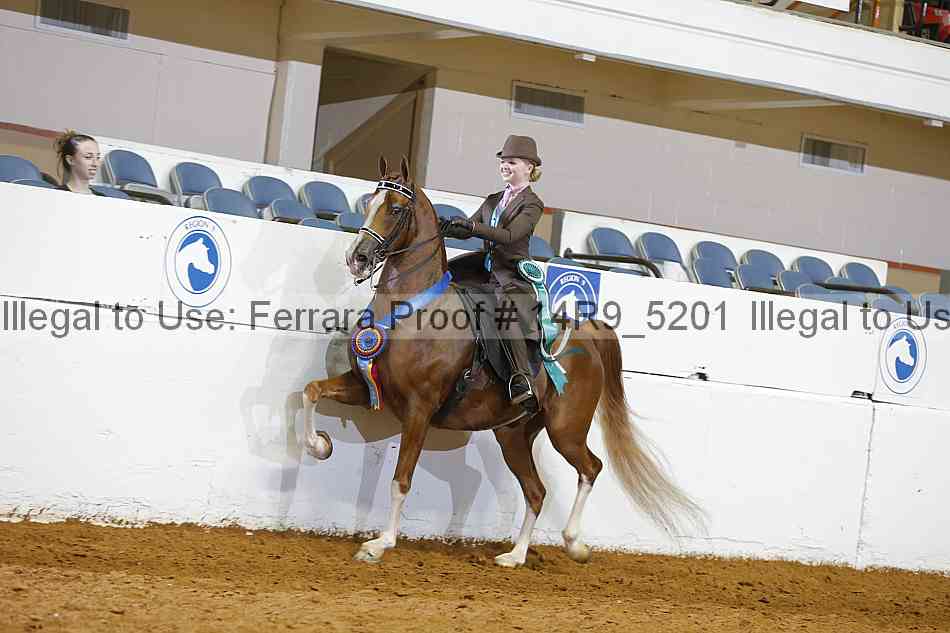 Proof Number 14r9_5201