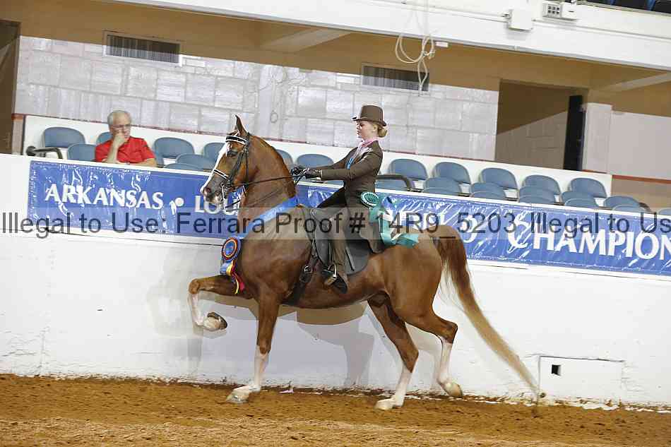 Proof Number 14r9_5203