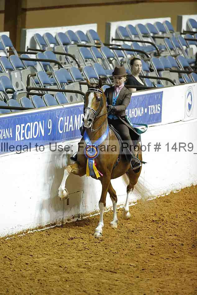 Proof Number 14r9_5205