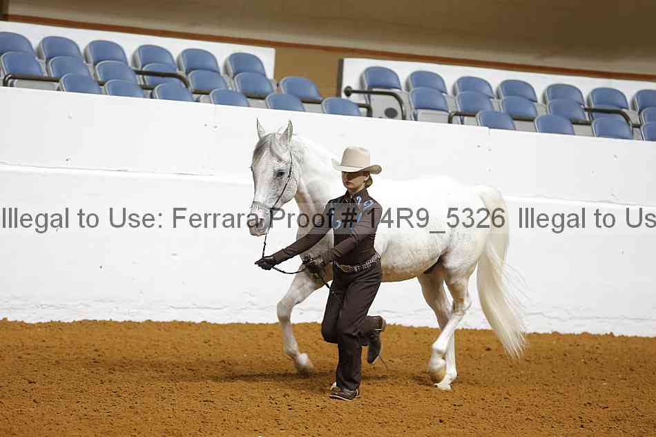 Proof Number 14r9_5326