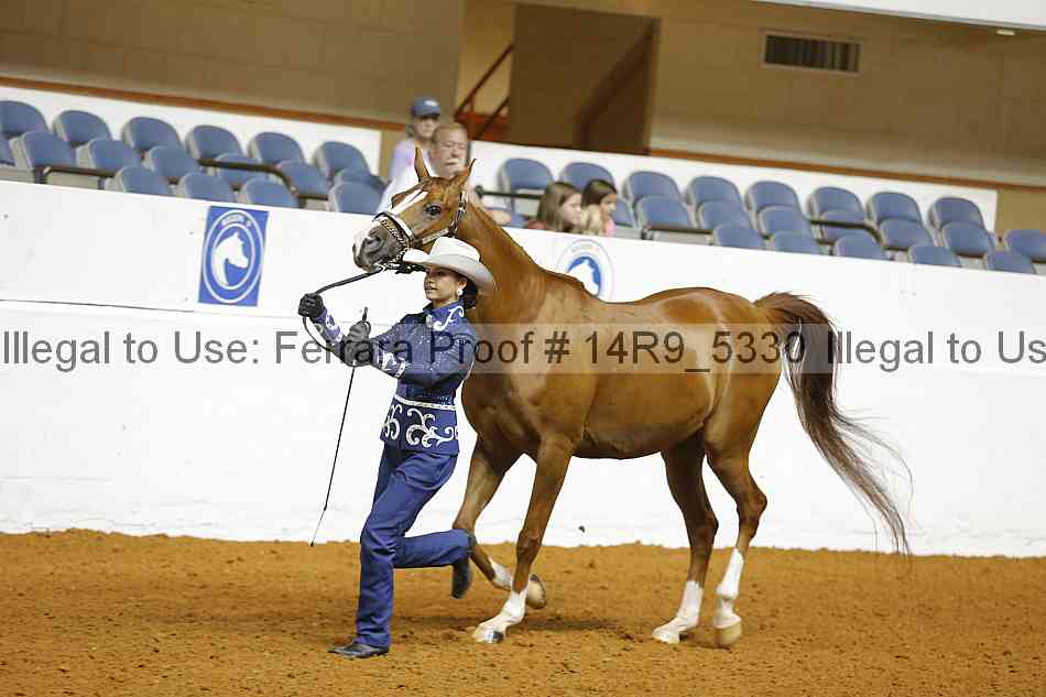 Proof Number 14r9_5330
