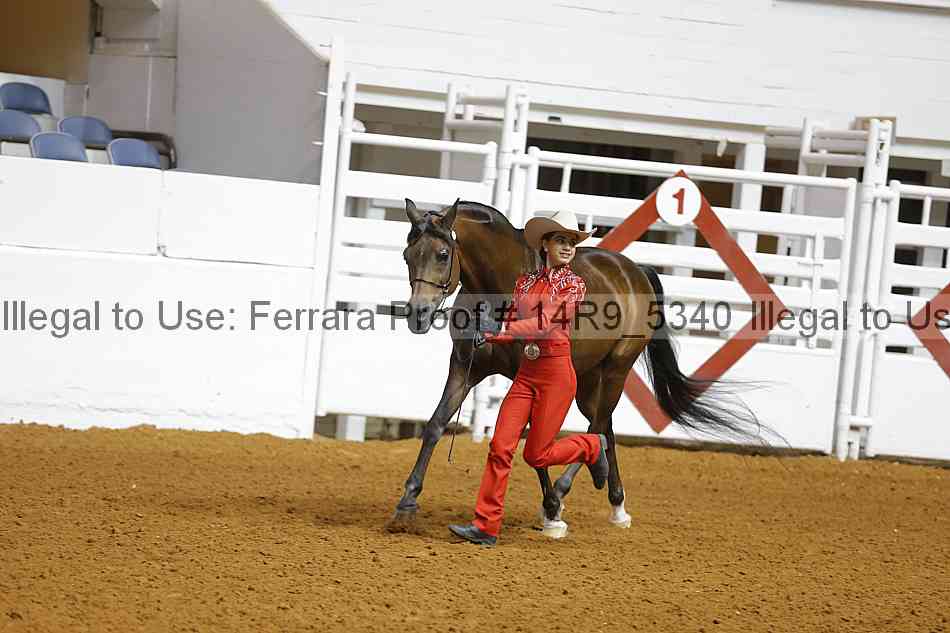 Proof Number 14r9_5340